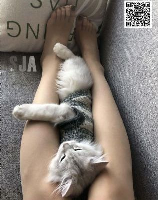 国产香蕉视频在线观看_DVD在线观看电视
